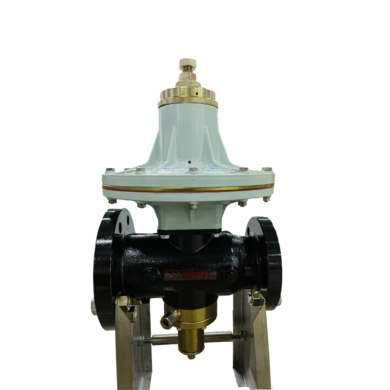 RTZ1-50/*TQ series gas pressure regulator