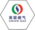 Read More About gasifier